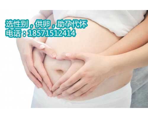 广东正规医院有代孕吗,多囊卵巢患者卵巢堵塞，做试管婴儿前如何调理？